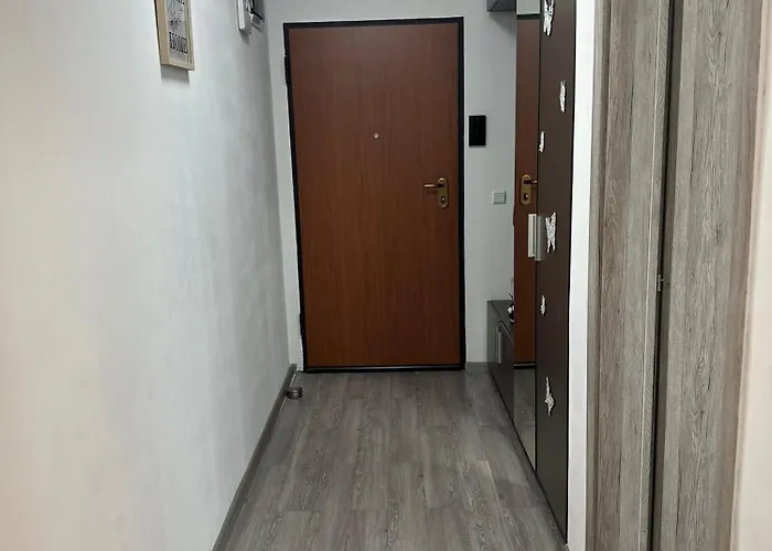 Apartment Alex Mnl Lux Free Parking D12 Bucharest